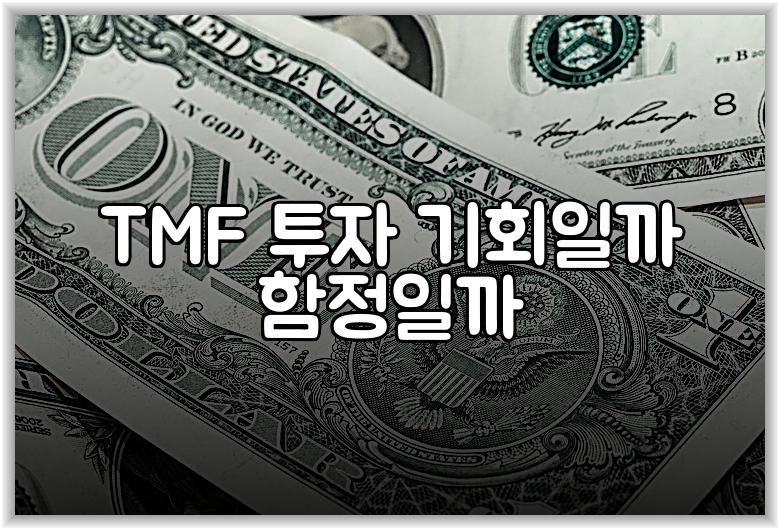 TMF 투자 기회일까 함정일까
