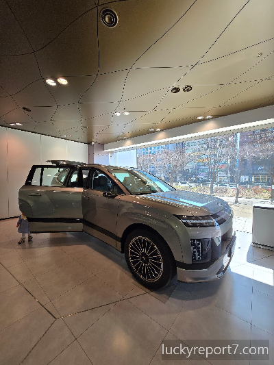 아이오닉9-셀라돈그레이메탈릭