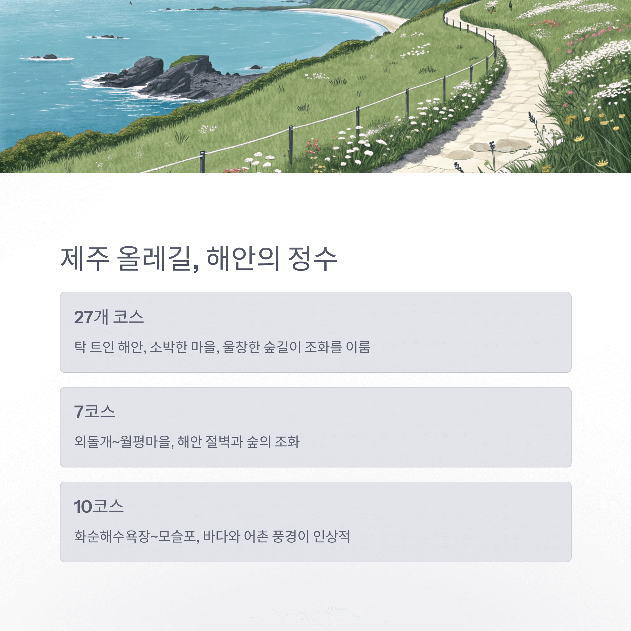 제주 올레길 해안길을 따라 걷는 아름다운 풍경 일러스트