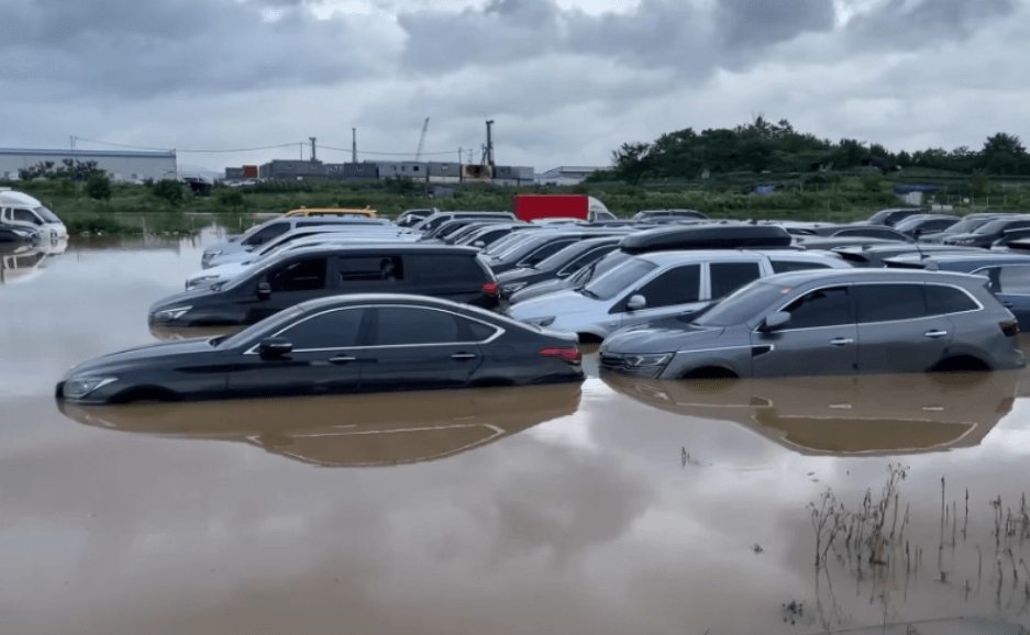 침수차 구별법 완전 정복