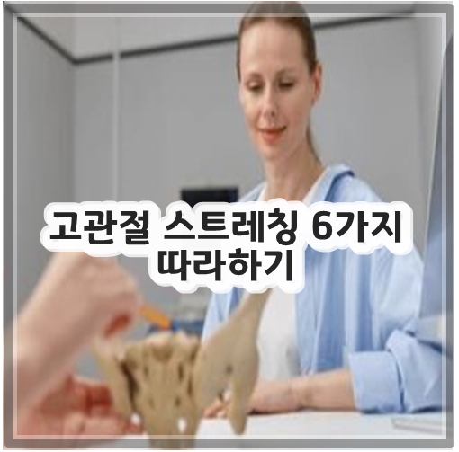 고관절 스트레칭 6가지 따라하기