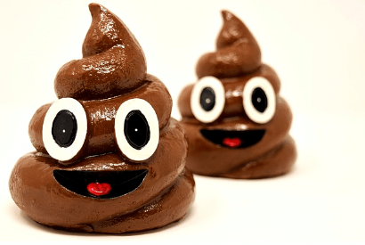 복권 당첨되는 꿈 5가지 중 똥과 관련된 꿈을 나타내는 똥 사진