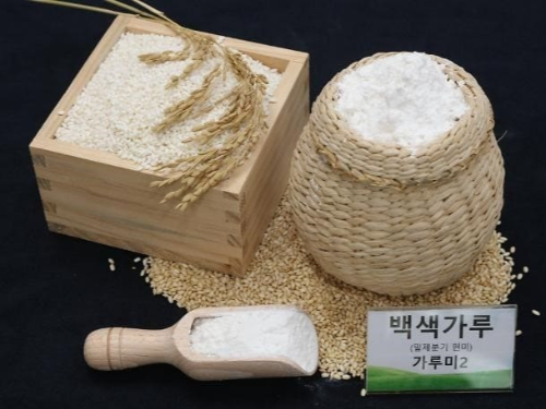 가루쌀과 일반쌀의 정의와 특징, 차이점, 활용법