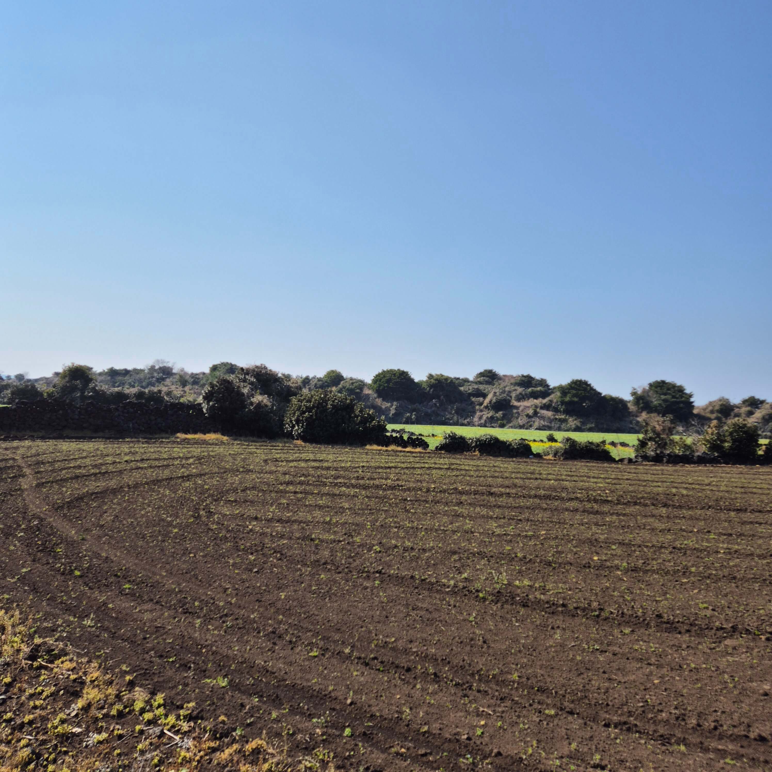 간질(뇌전증) 원인