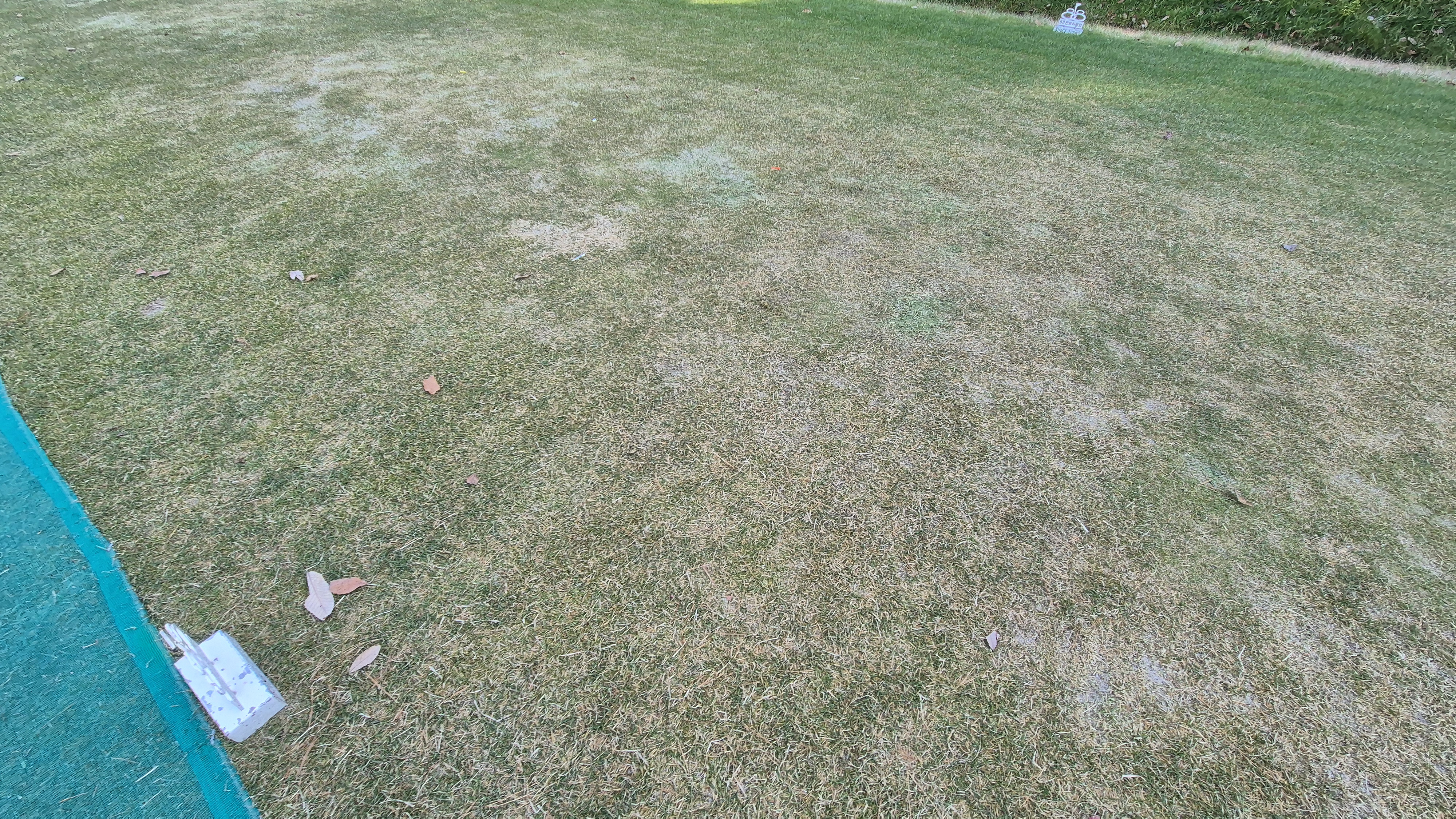 88cc 서코스 라운드 티잉구역상태