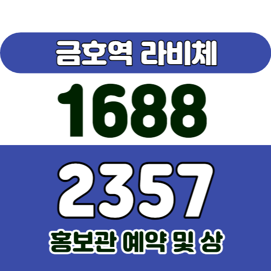 금호역라비체
