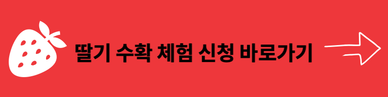 논산딸기축제