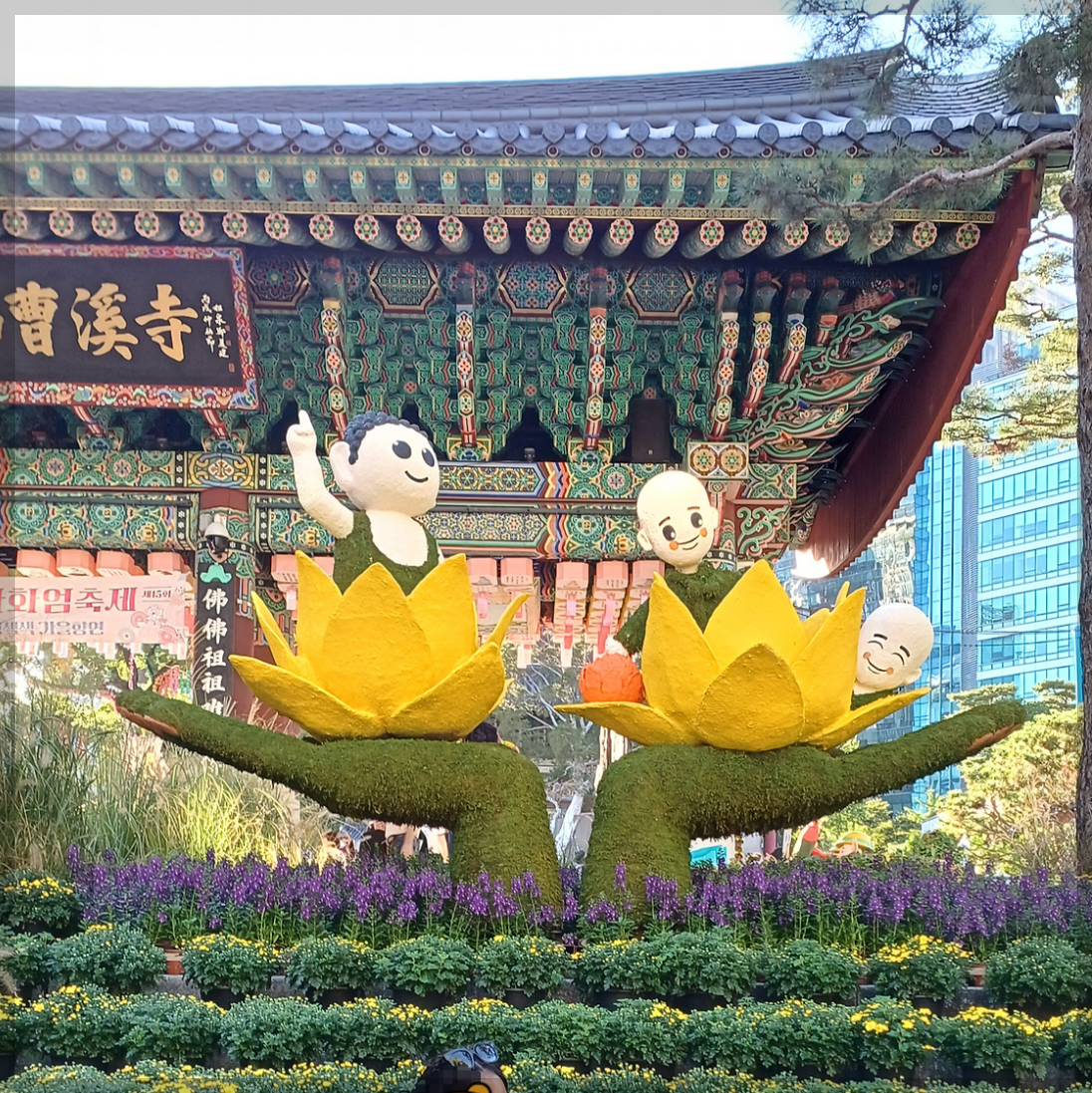 조계사-국화축제