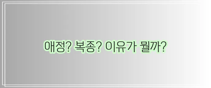 강아지가 주인 손을 핥는 이유를 알아봅시다!