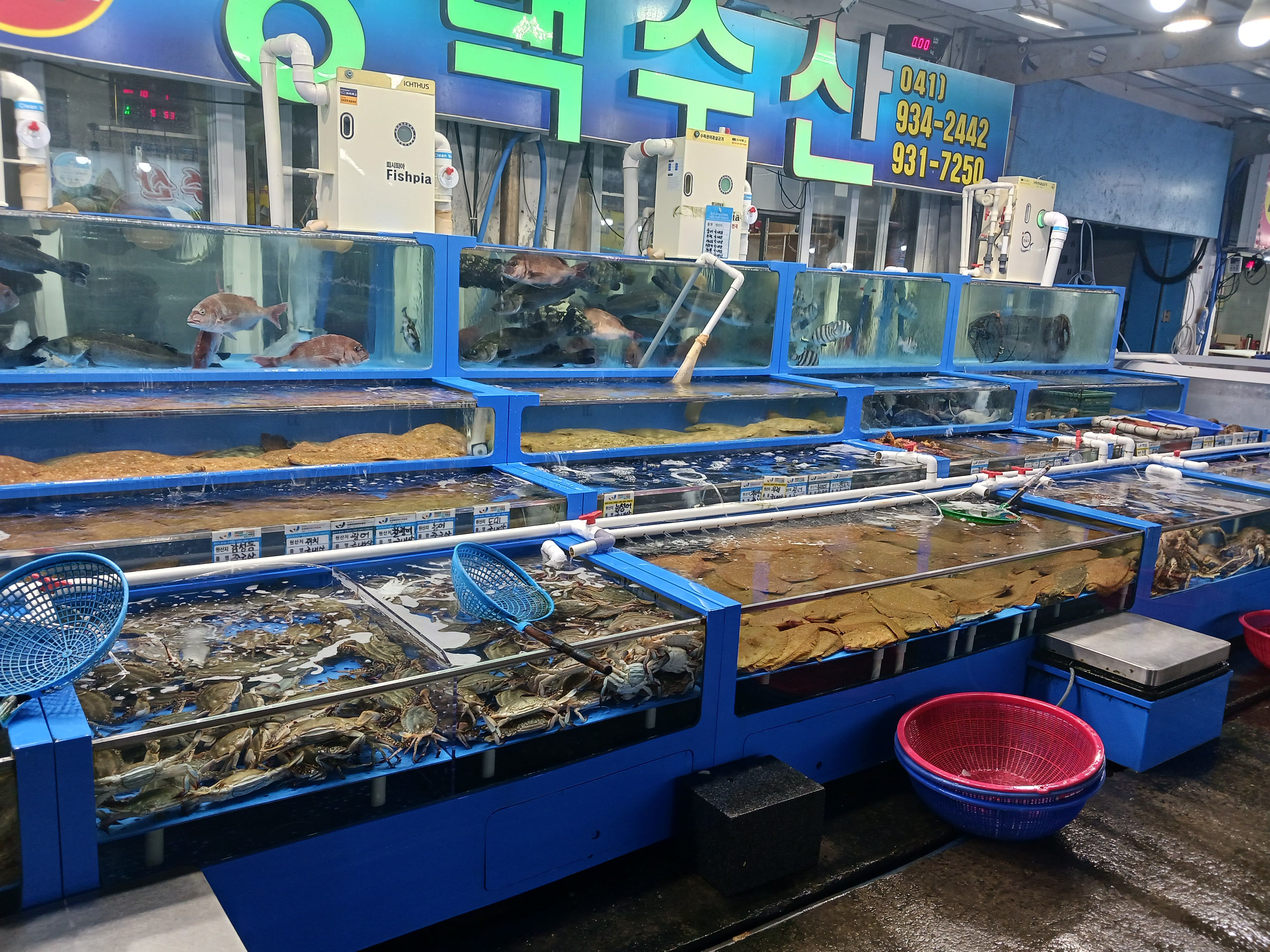 대천항수산시장