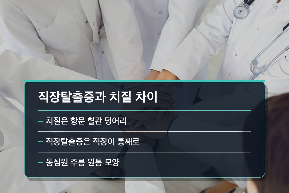 직장탈출증 치질인 줄 알았는데 직장탈출증이었습니다