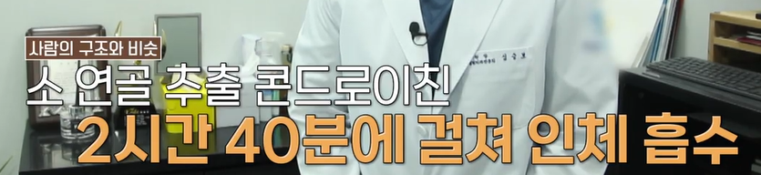 콘드로이친 복용법 및 고르는 법