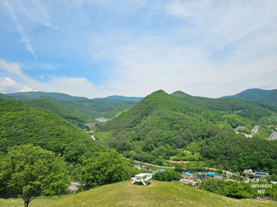 강원도 태백 여행 몽토랑 산양목장 포토존