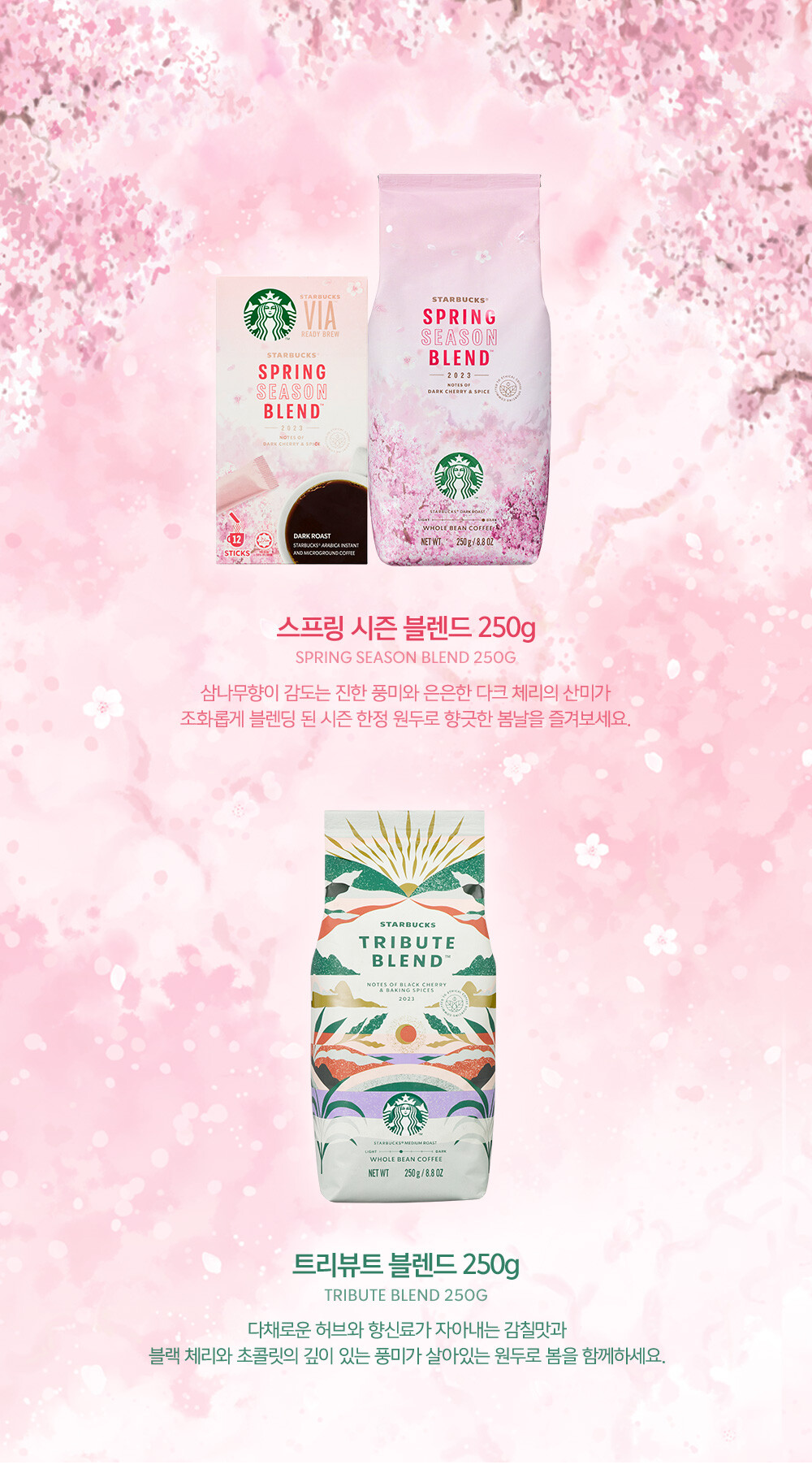 스타벅스-봄-신메뉴-이벤트