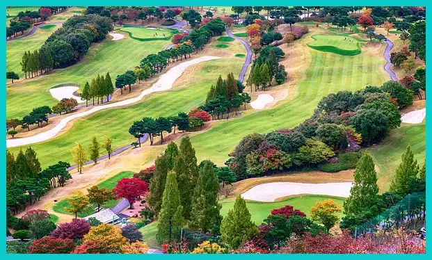 골프 스윙 동영상 추천