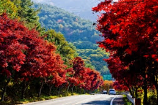 지리산 국립공원 실시간 cctv