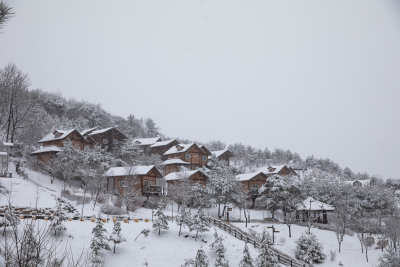 국립산림치유원 예약 방법 이용 가격