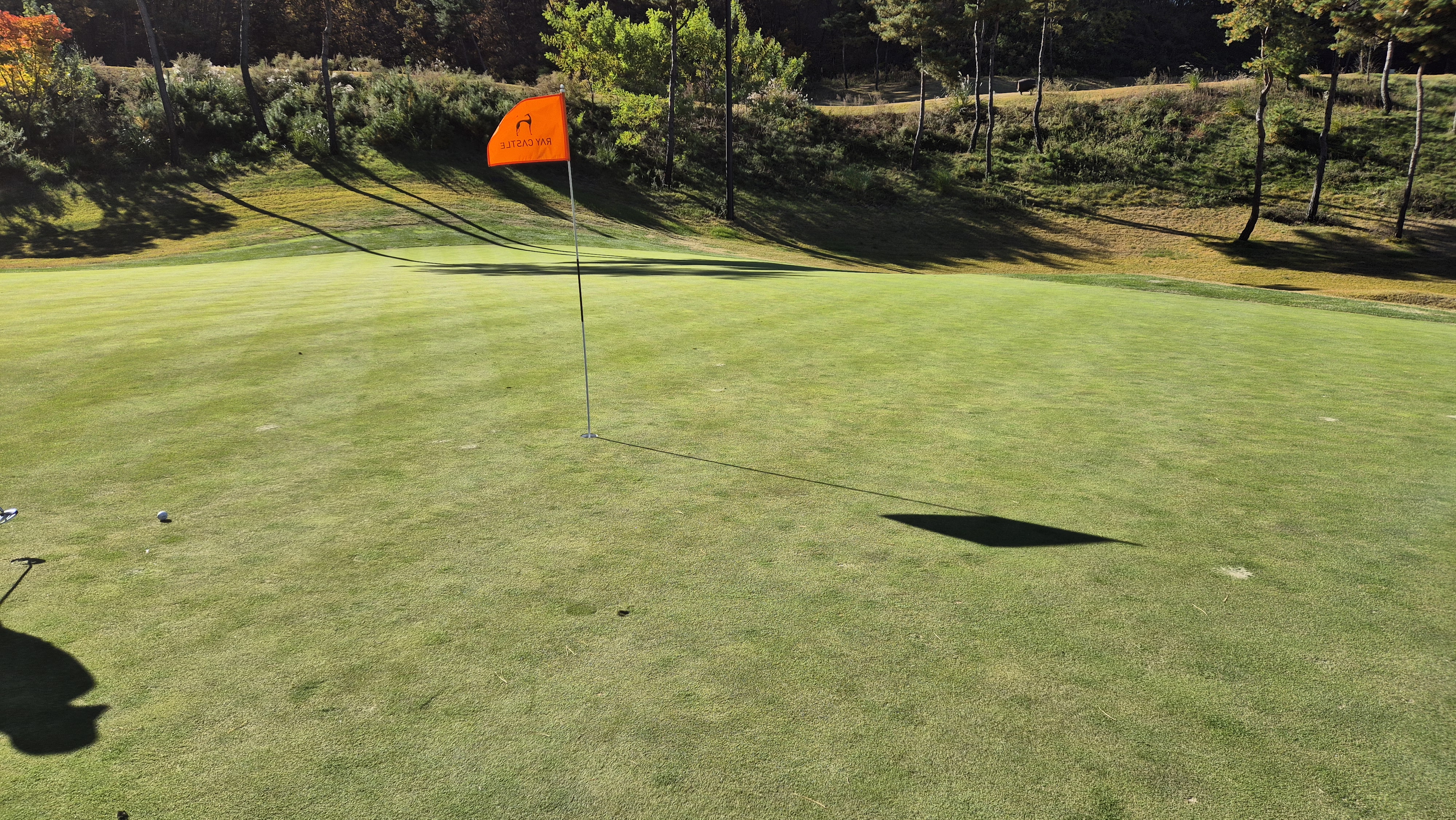 레이캐슬cc 그린관리상태