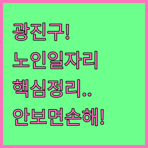 광진구 어르신 일자리 공익형 사회서비..
