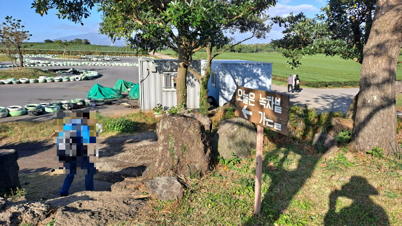 제주여행_성읍녹차마을