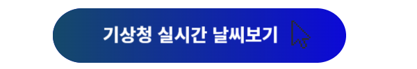 대구 날씨, 대구날씨 오늘, 이번주 대구 날씨, 실시간 날씨, 다음주 대구 날씨, 내일 대구 날씨
