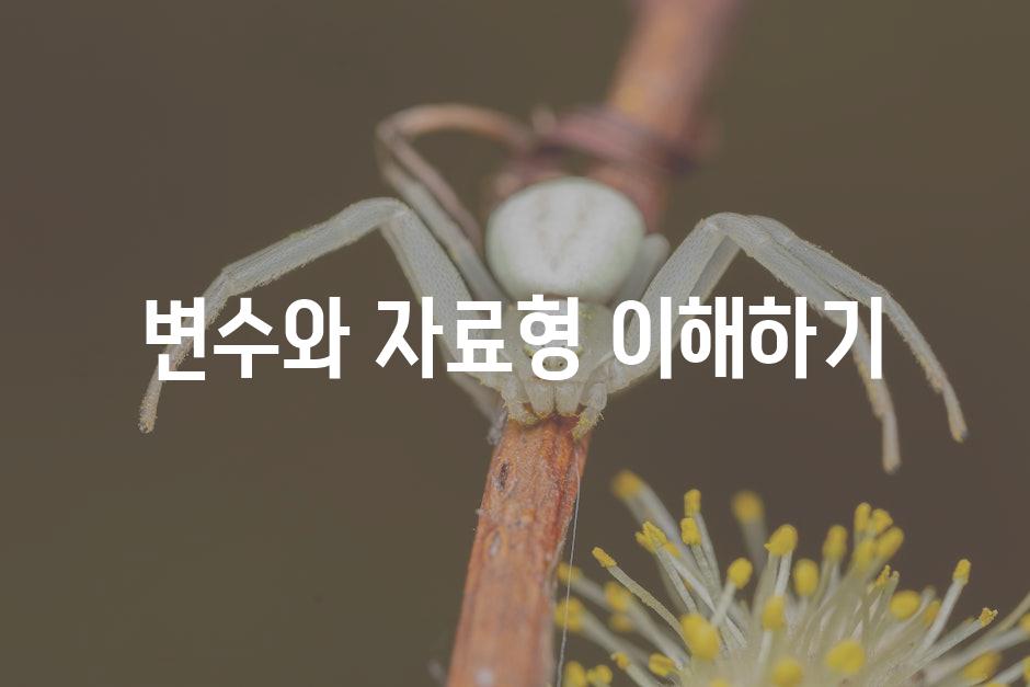변수와 자료형 이해하기