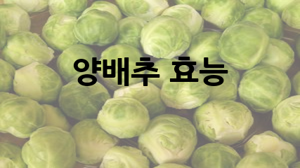 양배추 효능