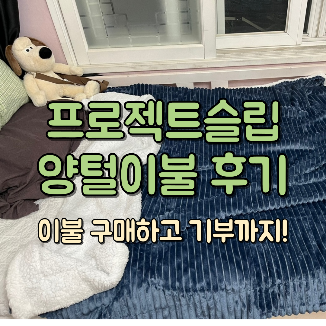 양털이불 후기 대표 이미지