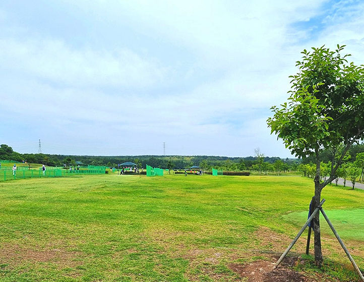 제주 서귀포시 남원파크골프장 소개 (수망리파크골프장)