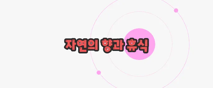 라벤다 크림 효능 지금부터 들여다보죠