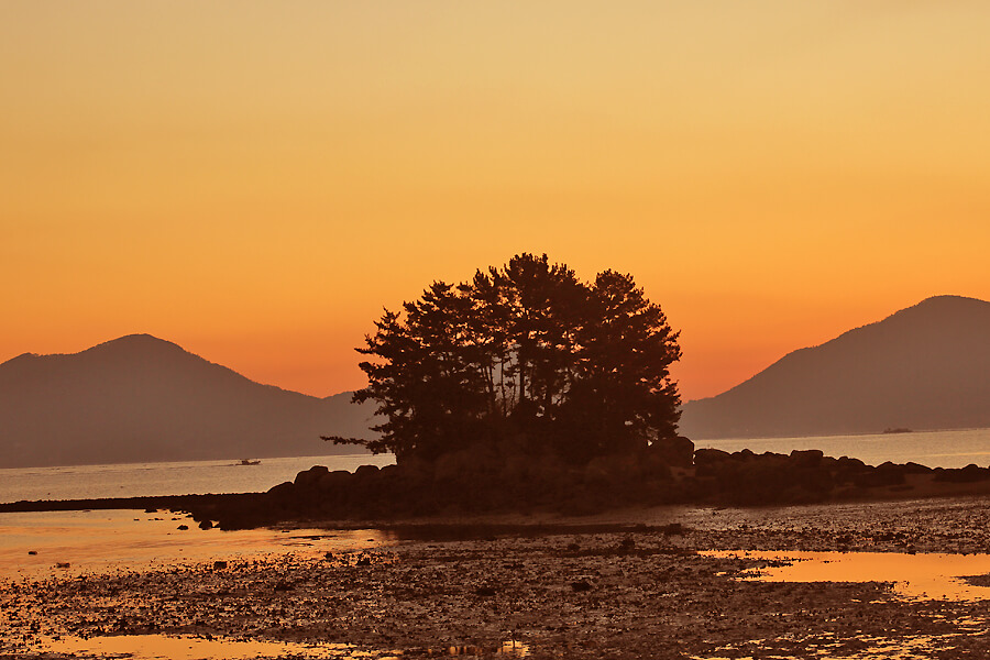 2026년 해돋이 명소 추천