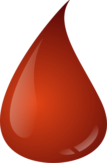 빈혈이 자주 온다면 철분 말고 이것도 확인하세요 놓치면 안 되는 중요한 원인들