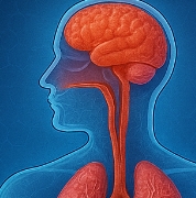 가래가 생기는 원인