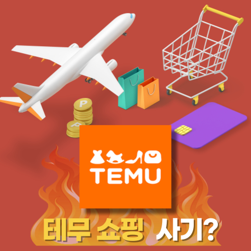 테무 쇼핑 사기?