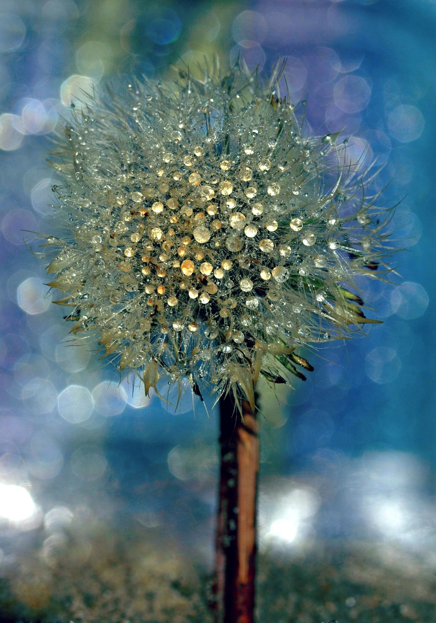 사라지는 종을 살리다: 멸종 위기 식물 보존을 위한 재배 방법