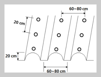 서리태 밭만들기