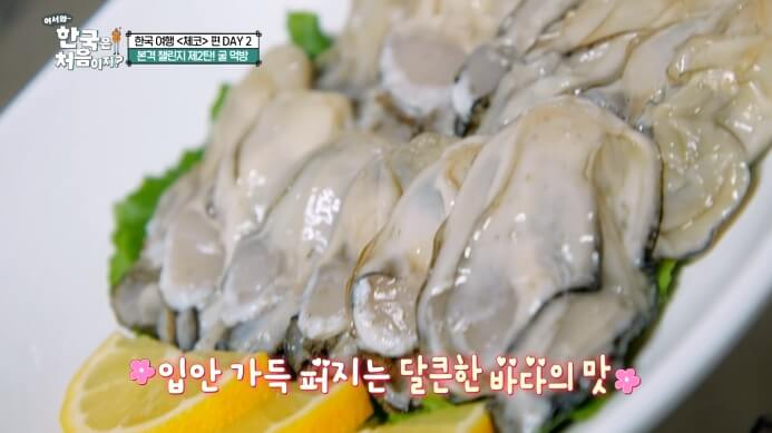 어한처-굴-먹방