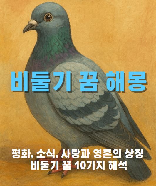 바닥에 서있는 비둘기