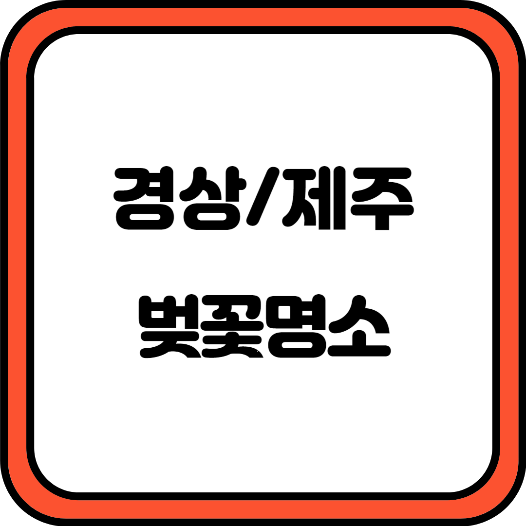 경상 제주 벚꽃 명소
