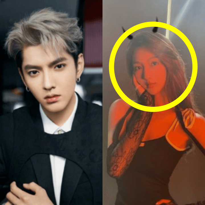 엑소크리스-두메이주-사진