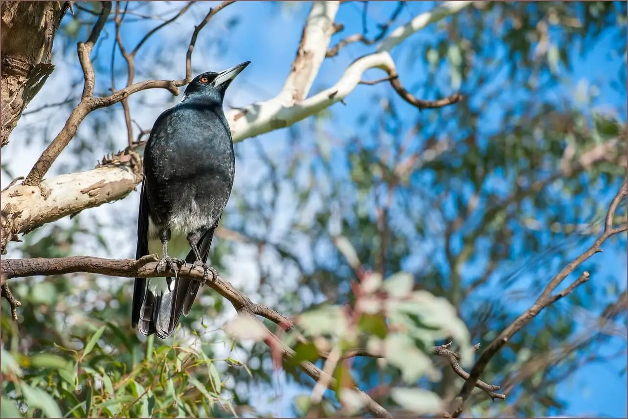 무인민원발급기 위치
