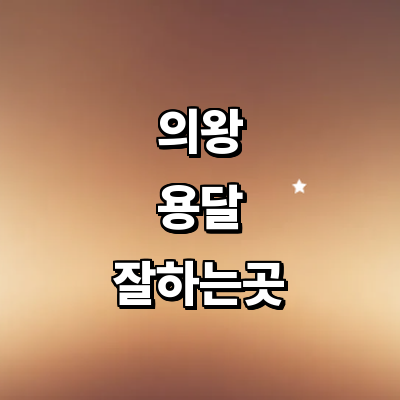 의왕시 용달