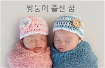 쌍둥이 출산 꿈
