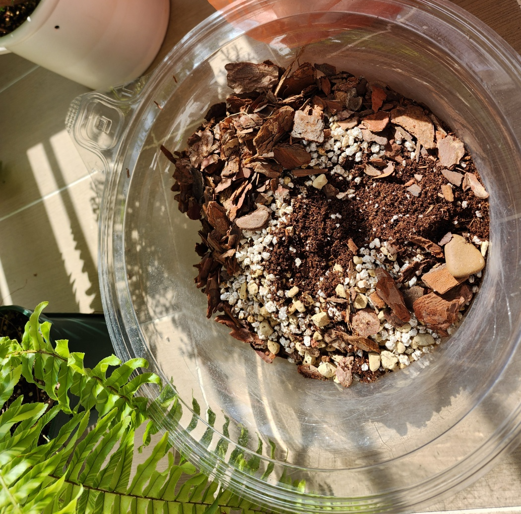 분갈이용흙,바크,난석,마사토을 섞었어요.