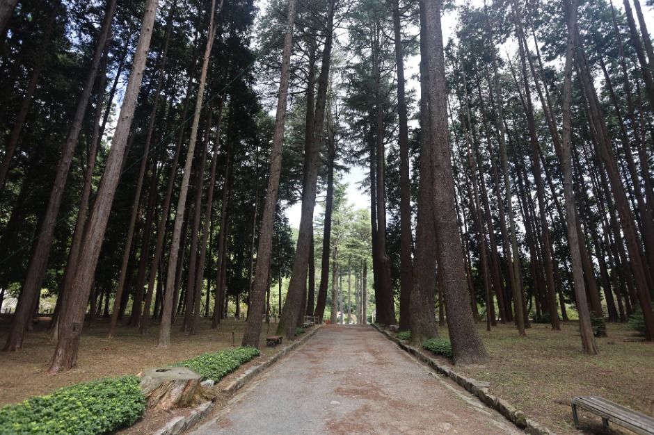 양산 가볼만한곳 베스트10