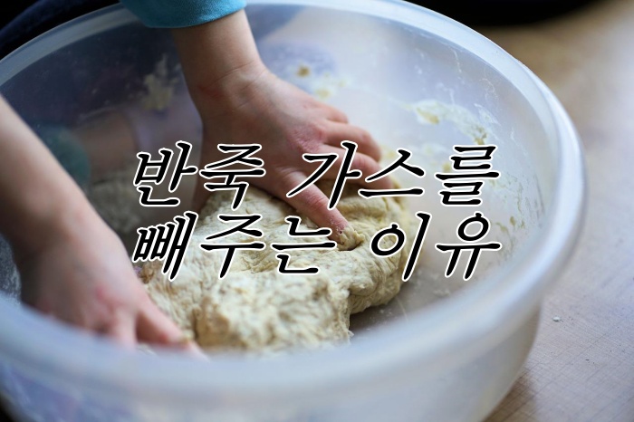alt"빵 반죽"