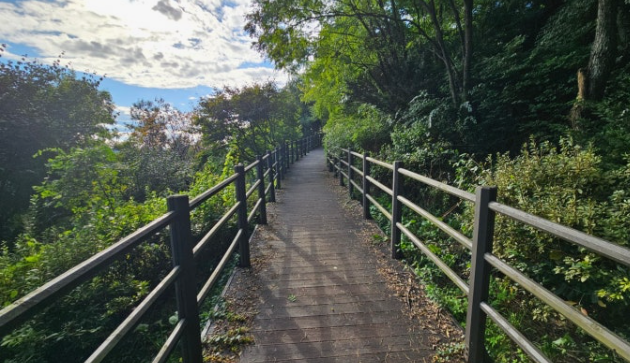 서울 안산자락길