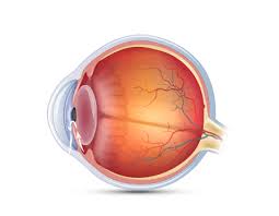 녹내장 초기증상 원인 치료방법