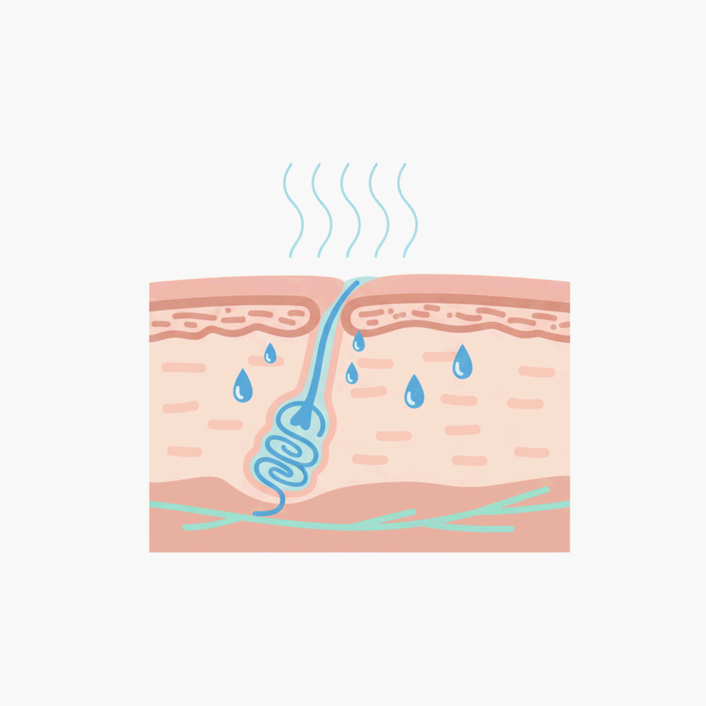 땀샘의 작용으로 체온을 낮추는 과정을 상징적으로 표현한 과학 미니멀 일러스트레이션