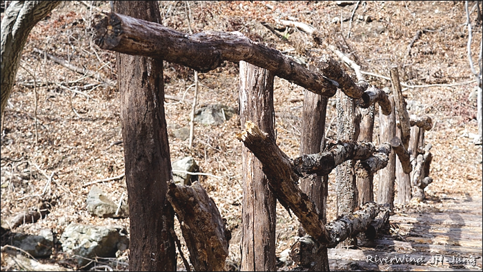 천성산 산하동 야생화